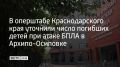 Среди семи погибших при атаке БПЛА в Архипо-Осиповке — четверо детей, уточнили в оперштабе Краснодарского края 4 августа