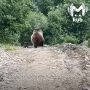 ���� �� � ������ ��������� 10 ����� ����� � ����, ��������������� ������ ������ �� �������� �� ����