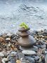 � ������ �� 7 �������. � ������������� ���� �����������
