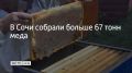 На пасеках Сочи, которых около 160, собрали более 67 тонн меда, сообщили в администрации города