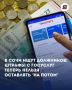 «Спрятал штраф — жди гостей»: в Сочи стартовала масштабная облава на должников!