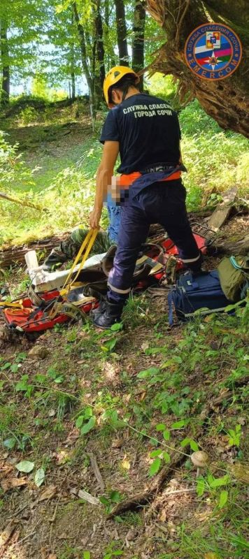 Коварная «грибная охота»: в Сочи спасатели на носилках вынесли из леса мужчину со сломанной ногой Коварная «грибная охота»: в Сочи спасатели на носилках вынесли из леса мужчину со сломанной ногой