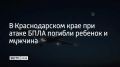 ����� 12 ������� ������������� ���� ��������� ������������� ����� �������������, ������� ���������� �������� ����������