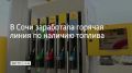 Круглосуточная горячая линия начала работу в Сочи, сообщили в администрации курорта