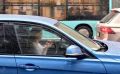 В Сочи запустили чат-бот с информацией о наличии топлива на АЗС