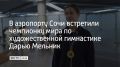 В аэропорту Сочи встретили чемпионку мира по художественной гимнастике Дарью Мельник