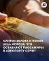 В бюро находок сочинского аэропорта за последние семь месяцев попало почти 7,6 тысяч забытых вещей!