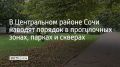 В Центральном районе Сочи наводят порядок в прогулочных зонах, парках и скверах