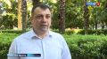 В Сочи второй раз за год травят американскую белую бабочку