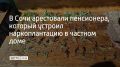 В Лазаревском районе Сочи сотрудники уголовного розыска задержали 65-летнего местного жителя, который устроил у себя в огороде наркоплантацию, сообщили в полиции курорта