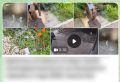 � ���� ����������� ���� �������� ������������ ������� �������� ����������, � ������� ����������, ��� �� ����� 50 ��� ���� ������� �������� ����� ����� �� ��������� ������ � ���� ������� ������������� ����� ���������