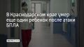 Число погибших после атаки беспилотников на детский центр в Краснодаре выросло до четырех