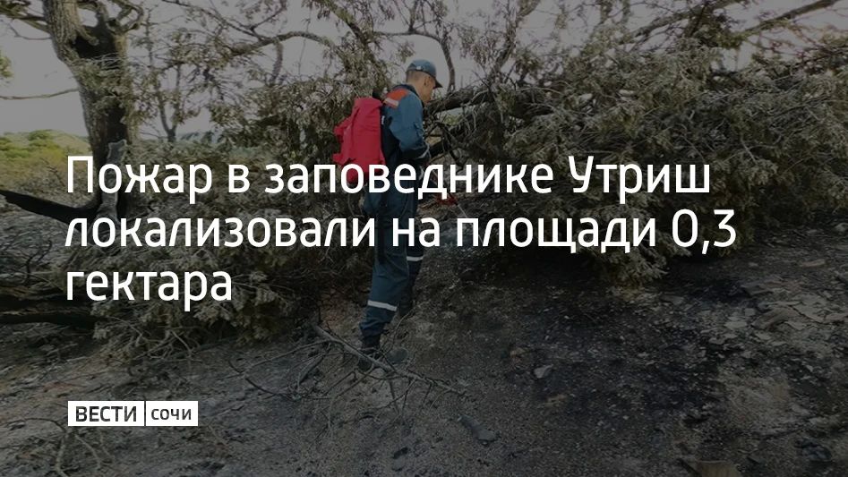 В заповеднике Утриш пожар локализовали на площади 0,3 гектара, сообщили в Оперативном штабе Кубани 27 августа в 15:15
