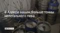 Больше тонны нелегального пива изъяли в Адлерском районе Сочи, рассказали в городском УВД 27 августа