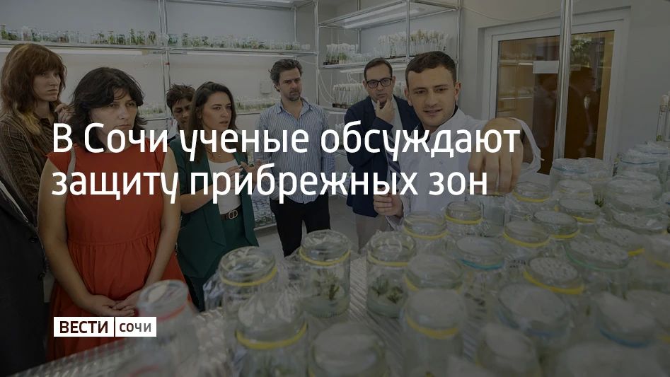 Как климат и деятельность человека влияют на прибрежные экосистемы, обсуждают ученые на международной конференции в Сочи, сообщили в администрации курорта