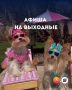 Как провести последние выходные лета?