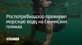 С начала 2026 года Роспотребнадзор проверил 7113 проб морской воды на пляжах Сочи