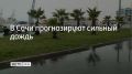 ����� � ����� 7 �������� �� ��������� ���� � ������� ������� ��������� ������� ����� � ����� � �������, �������� � ������������� �������
