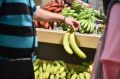 Сочинские бананы показали повышенное содержание калия