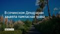 � ��������� ���� ������� ����� �������� ��������� �����, ��� ���������� �����, �������� � �������� ����� 9 ��������