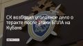 Следственный комитет России возбудил уголовное дело о теракте после атаки беспилотников на гражданские объекты и жилой сектор в Краснодарском крае, сообщили в ведомстве 9 сентября