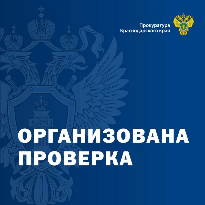 Прокуратурой Адлерского района г. Сочи организована проверка размещенной в сети Интернет информации о возможных противоправных действиях в отношении детей в одном из детских дошкольных учреждений