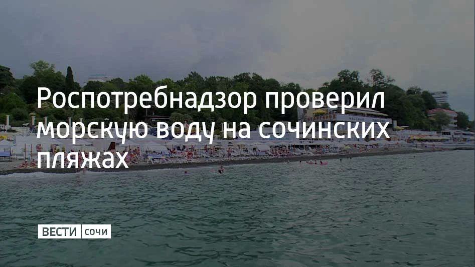Роспотребнадзор исследовал 7808 пробы морской воды в Сочи, сообщили в администрации курорта