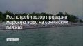 Роспотребнадзор исследовал 7808 пробы морской воды в Сочи, сообщили в администрации курорта