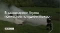 Новый очаг огня на территории заповедника Утриш в Анапе обнаружили вечером 10 сентября