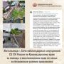 Жительница г. Сочи поблагодарила сотрудников СУ СК России по Краснодарскому краю за помощь в восстановлении прав ее семьи на безопасные условия проживания