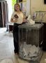 Отрасль «молодёжная политика» с избирательных участков любимого города!