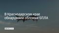Фрагменты беспилотников повредили по одному частному дому в Усть-Лабинском районе и Армавире, хозяйственную постройку в селе Новоукраинском и школьный спортзал в Гулькевичском районе, где находился избирательной участок...