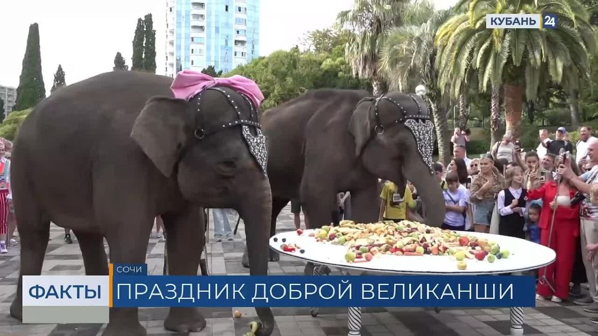 Сочинская слониха Марго отметила свое 18-летие