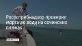 С начала 2026 года Роспотребнадзор проверил 8238 проб морской воды на пляжах Сочи, сообщили в администрации курорта 21 сентября