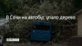 На конечной остановке маршрута №86 в микрорайоне Искра дерево упало на автобус и перекрыло проезд