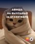 ���� ������� � ���� �� �������� 26�27 ��������?
