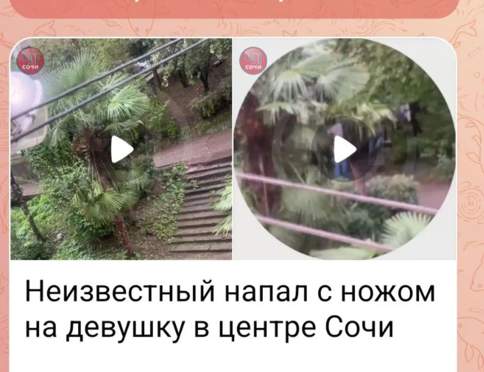Сегодня в дежурную часть УВД по г. Сочи поступило обращение конфликте из улице Красноармейской в г. Сочи