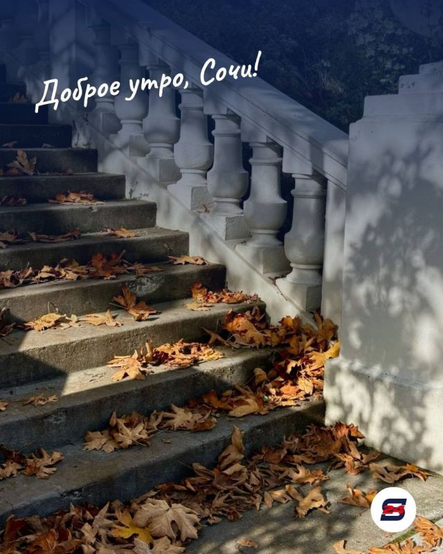 Доброе утро, Сочи!. В конце сентября особенно приятно замечать маленькие перемены вокруг: первые жёлтые листья, прохладные вечера и всё ещё тёплое море