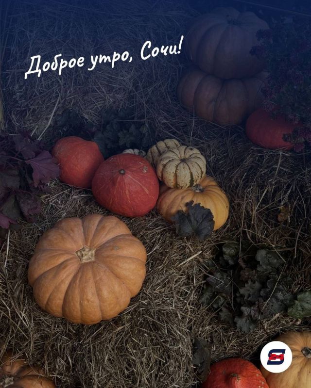 Доброе утро, Сочи!. Осень — прекрасный повод посмотреть на привычный город немного иначе