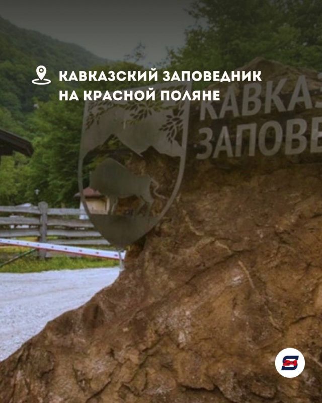 Когда хочется просто сбежать из рутины, Сочи знает, чем удивить… Когда хочется просто сбежать из рутины, Сочи знает, чем удивить…