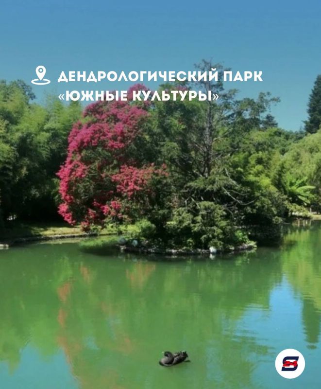 Когда хочется просто сбежать из рутины, Сочи знает, чем удивить… Когда хочется просто сбежать из рутины, Сочи знает, чем удивить…