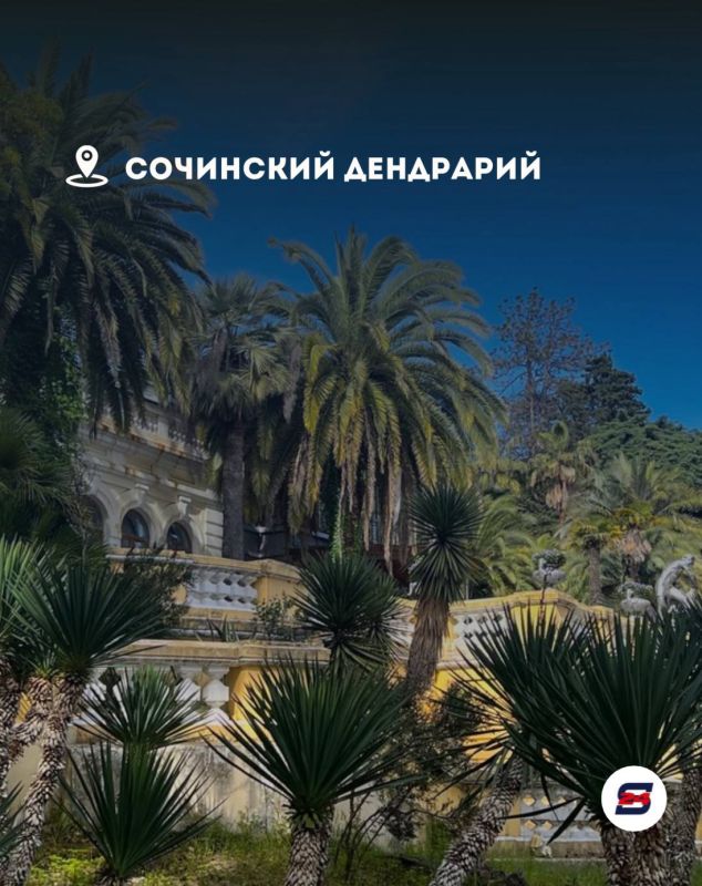 Когда хочется просто сбежать из рутины, Сочи знает, чем удивить… Когда хочется просто сбежать из рутины, Сочи знает, чем удивить…