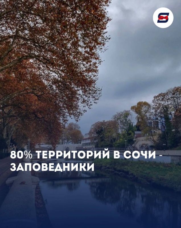 Когда хочется просто сбежать из рутины, Сочи знает, чем удивить…