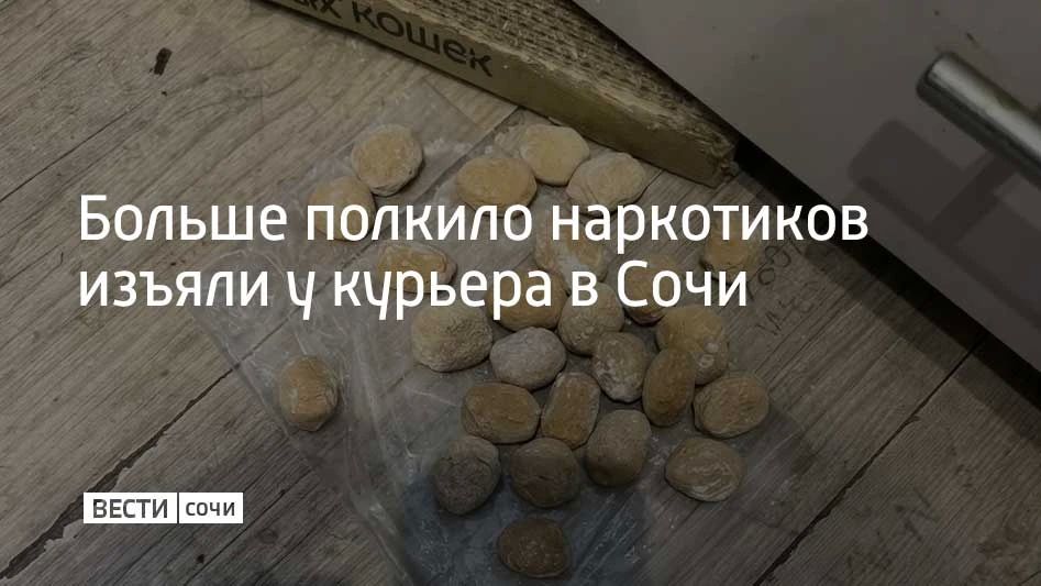 В Сочи у наркокурьера изъяли 570 гр мефедрона и 70 гр кокаина, сообщили в полиции курорта