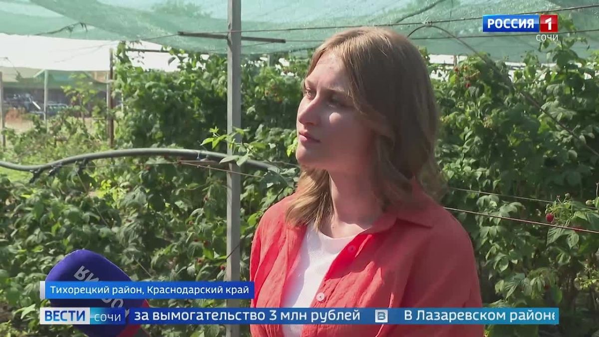 Вести Сочи 09.10.2026 09:30