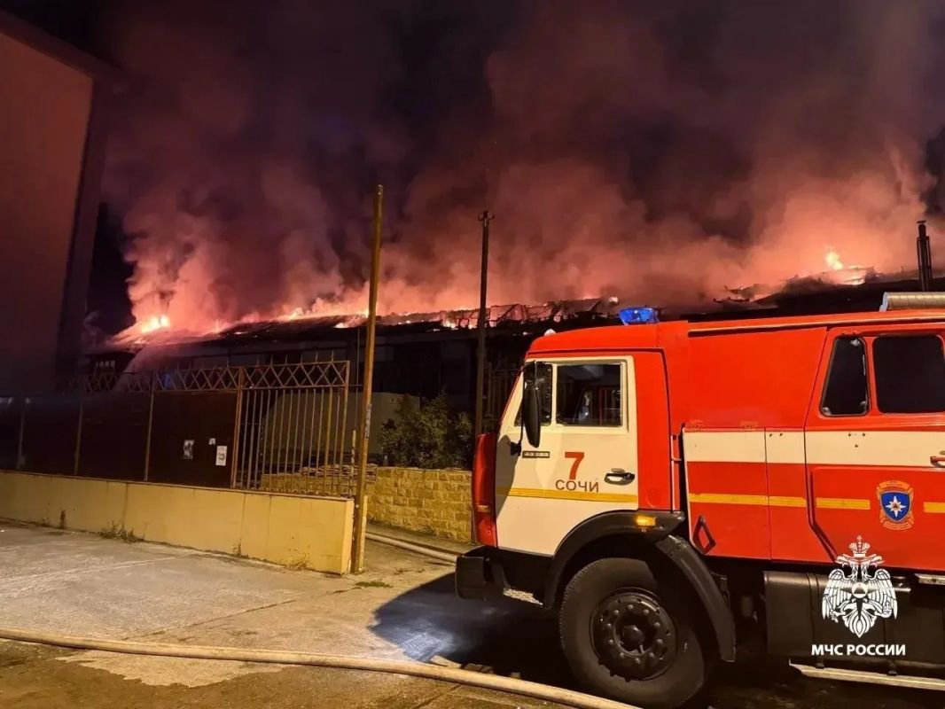 Крупный пожар полыхает в Сочи — спасатели локализовали возгорание на площади 1400 "квадратов" Крупный пожар полыхает в Сочи — спасатели локализовали возгорание на площади 1400 "квадратов"