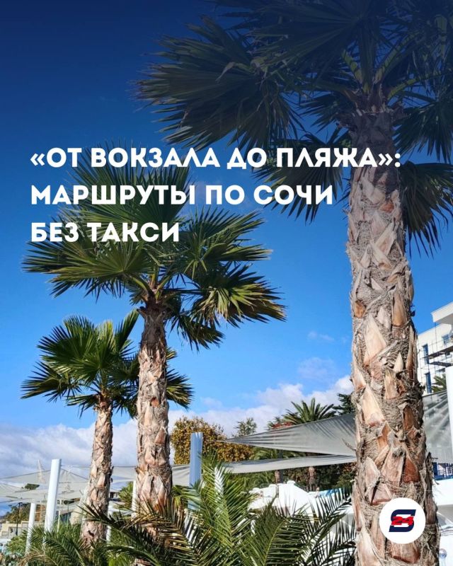«От вокзала до пляжа»: маршруты по Сочи без такси