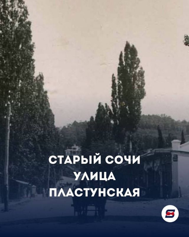 Почему одна из улиц Сочи называется Пластунской?