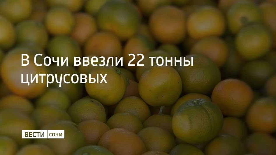 В Сочи ввезли 22 тонны цитрусовых