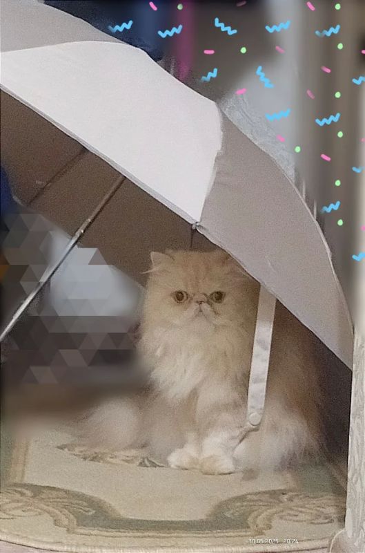 Доброе утро, Кубань!. Краснодар +11…+20 °С Доброе утро, Кубань!. Краснодар +11…+20 °С